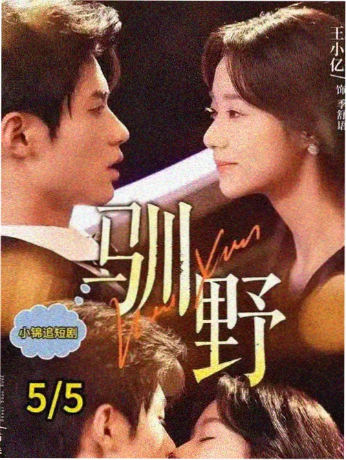 短剧集市场趋势观察